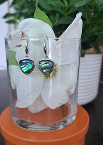 Sterling Silver with Abalone Shell Earrings