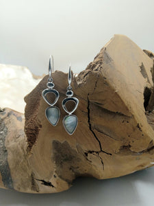 Silver with Shell Detail Earrings